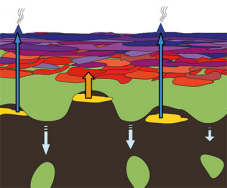 New Continental Crust Model Reveals Earth’s Early Evolution 3–4 Billion Years Ago
