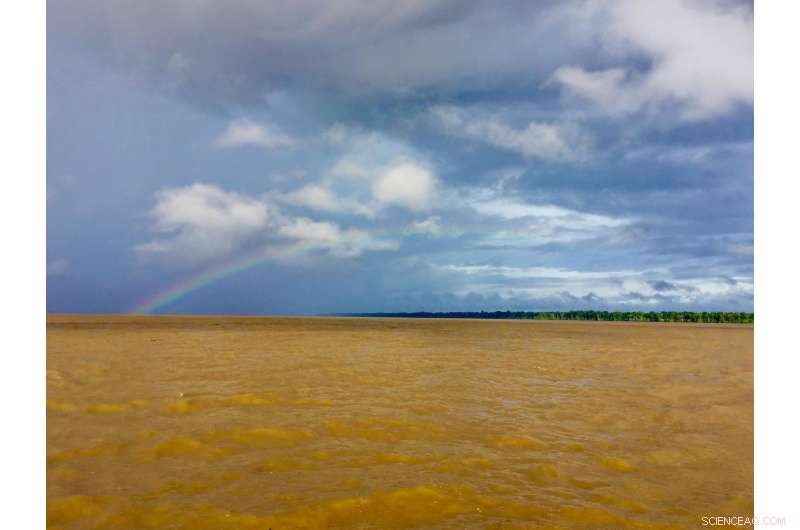 Amazon River’s CO₂ Emissions Match Forest Absorption, Study Finds