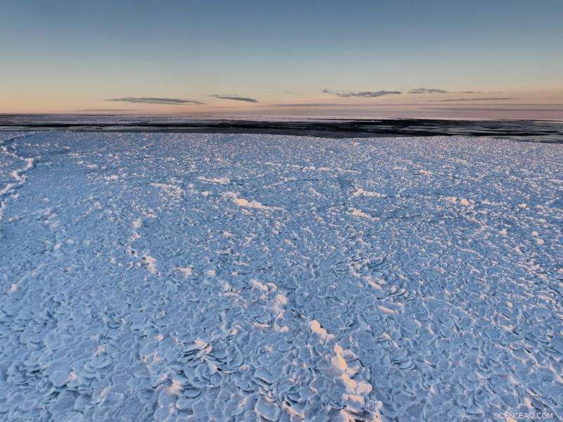Scientists Discover Rare Dragon‑Skin Ice in Antarctic Polynya