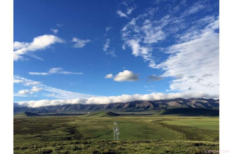 Rising Temperatures Endanger the Stability of Tibetan Alpine Grasslands