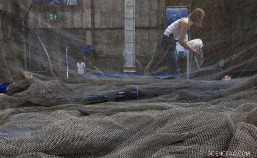 Dutch Group to Launch Global Plastic Cleanup Initiative