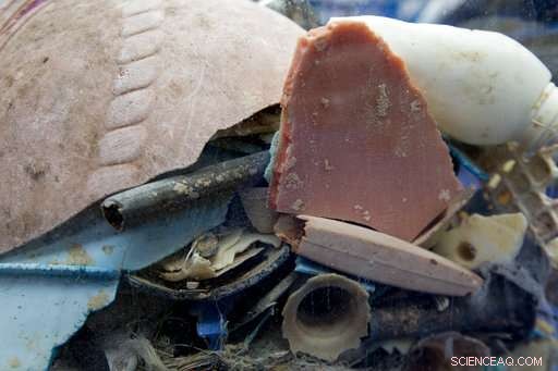 Dutch Group to Launch Global Plastic Cleanup Initiative