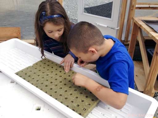 Alaska Unveils Greenhouse Guide to Ensure Fresh Veggies for Schools and Communities