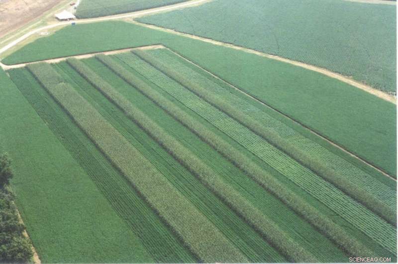 Enhancing Soybean Yields through Diverse Rotations and Poultry Litter