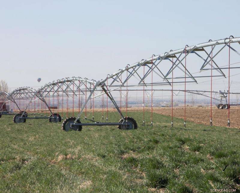 Innovative GPS-Based Irrigation Boosts Water Savings for Farmers