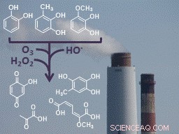 Aromatic Pollutants from Combustion and Wood Burning Drive Brown Cloud Formation