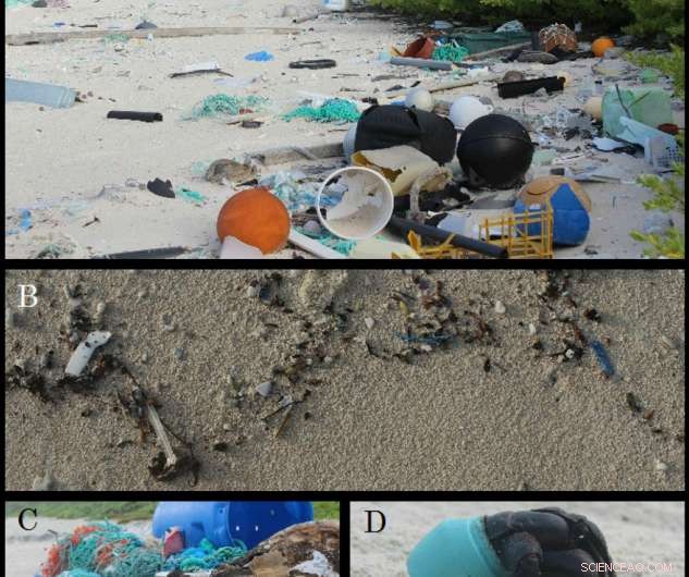 Extreme Ocean Plastic Pollution: 37 Million Items Discovered on One of the World’s Most Remote Islands