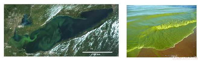 Satellite Data Unlocks Breakthrough in Combating Lake Erie’s Toxic Algal Blooms