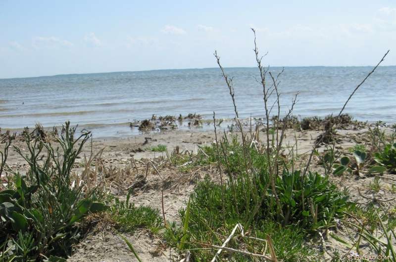 Extreme Weather s Hidden Toll on Nature Revealed—Researchers Map the Path Forward