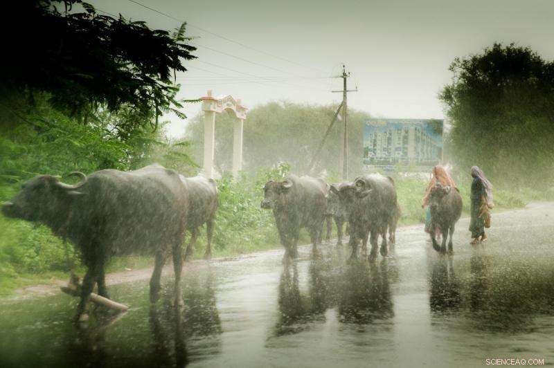 Climate‑Smart Agriculture: Building a Secure Food Future
