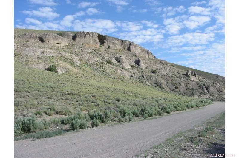 Massive Volcanic Eruption Linked to Earth s First Mass Extinction