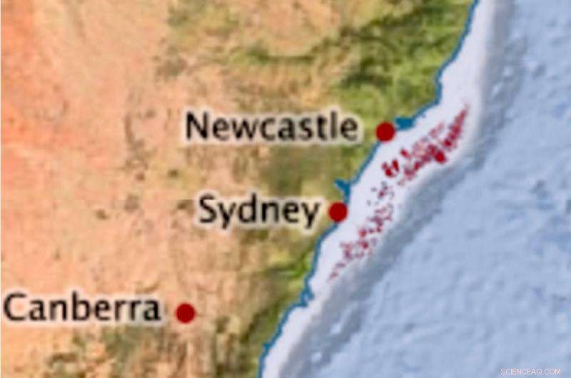 Sydney Barrier Reef: Engineering a Natural Storm‑Resistant Shield