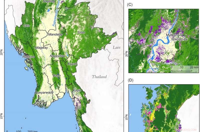 Myanmar s Forests Rapidly Decline Amid Political and Economic Shifts