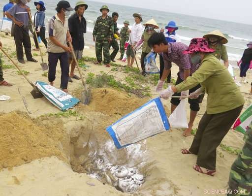 Vietnam Upholds Deep‑Water Fishing Ban Amid Pollution Concerns