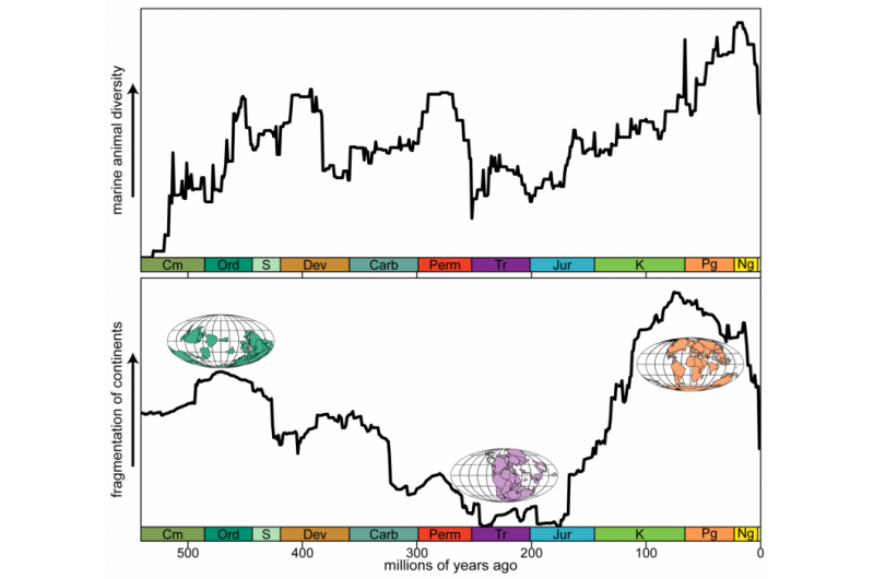 Continental Drift and Biodiversity: New Study Reveals Significant Impacts