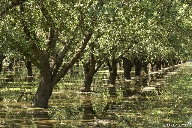 New UCLA Study Reveals Groundwater Decline in California s Central Valley During Drought