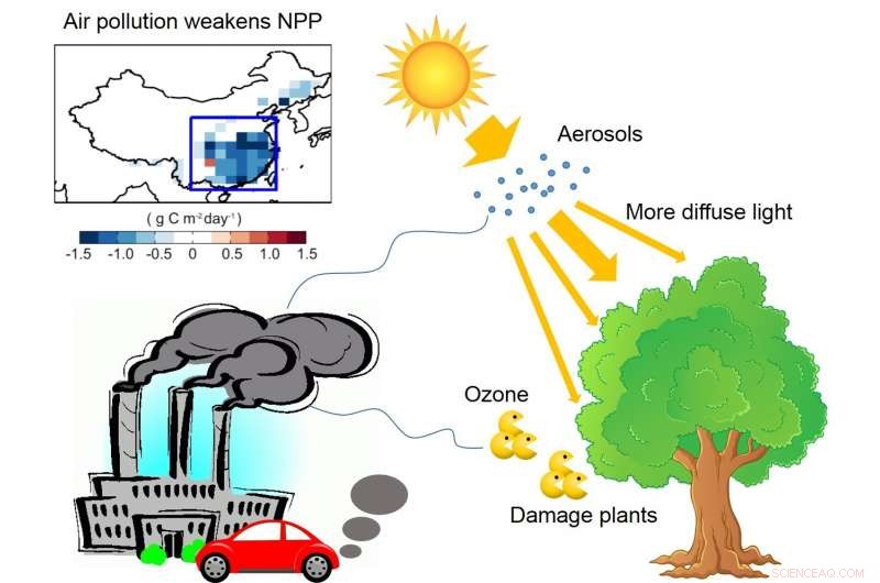 How Ozone and Haze Pollution Impede China’s Land Carbon Sink