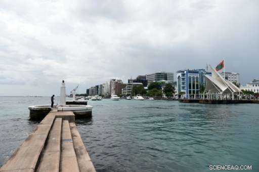 Sea‑Level Rise to Double Coastal Flooding by 2050, New Study Warns