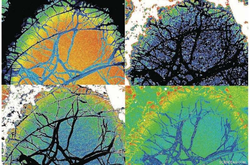 Scientists Uncover Record-Setting Hot Lavas from Earth s Earliest History