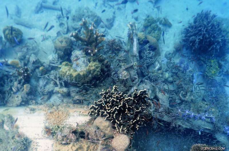 Project Recover Documents Two WWII B‑25 Bombers Missing in Action Off Papua New Guinea