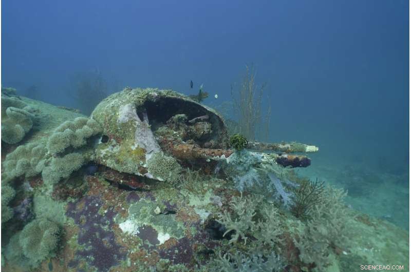Project Recover Documents Two WWII B‑25 Bombers Missing in Action Off Papua New Guinea