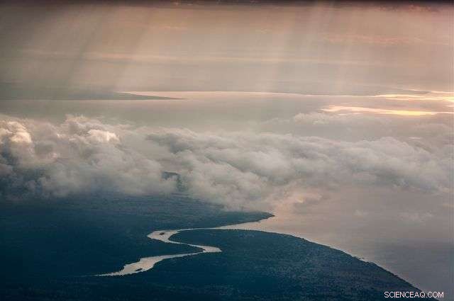 Advanced Rainforest Mapping Enhances Climate & Conservation Strategies