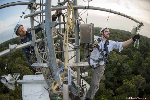 Rainforest Clues Help Scientists Detect Earth s Changing Vital Signs
