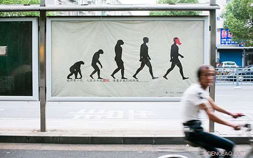 Is China Experiencing a Green Awakening?