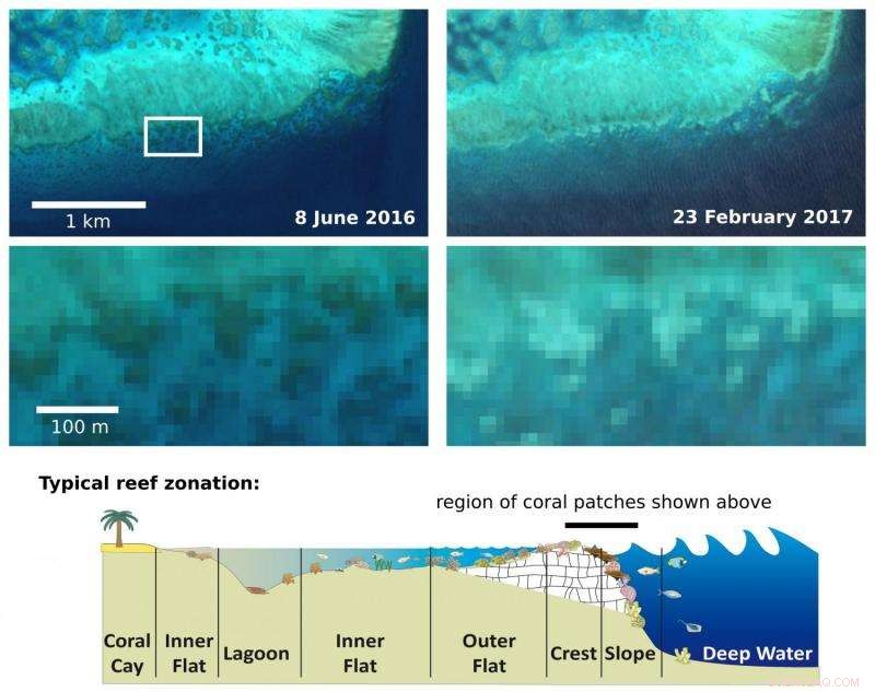 Sentinel‑2 Satellite Documents Widespread Coral Bleaching on the Great Barrier Reef