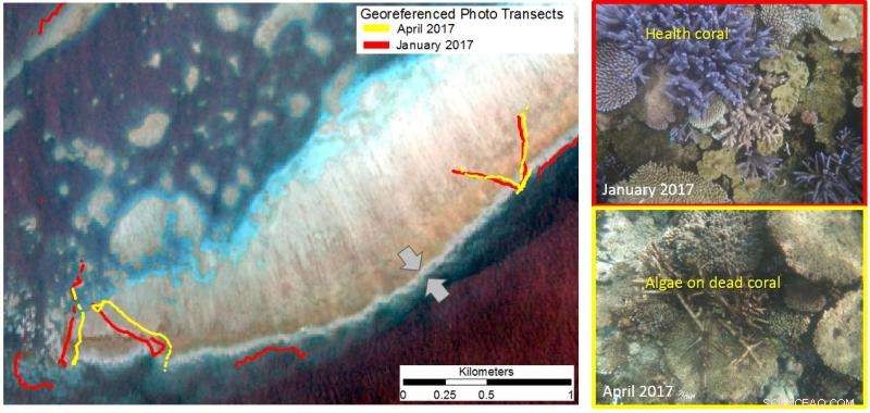 Sentinel‑2 Satellite Documents Widespread Coral Bleaching on the Great Barrier Reef