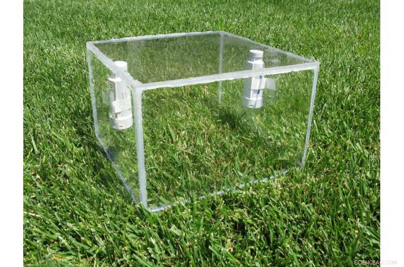 Los Angeles Lawns Drain 70 Billion Gallons of Water Each Year