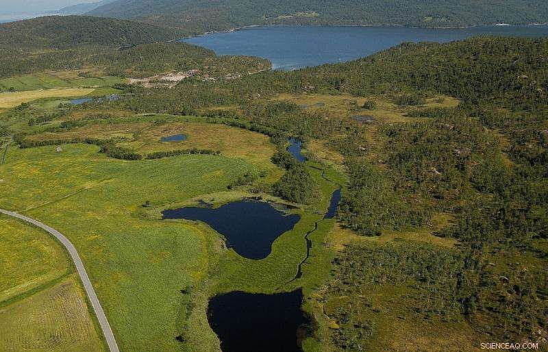 Proven Strategies for Restoring Aquatic Ecosystems