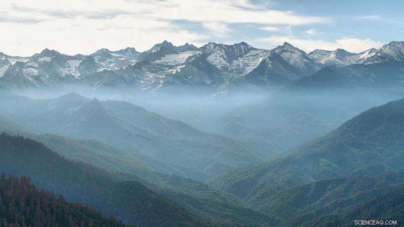 Climate Change Threatens Sierra Forests’ Carbon Storage Capacity