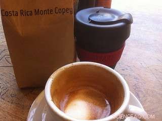 Do You Really Need to Rinse Your Recycling? The Truth About Time and Waste