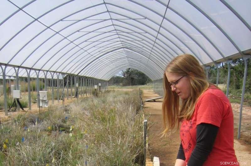 Historic Rainfall Levels Significantly Influence Soil Carbon Emissions