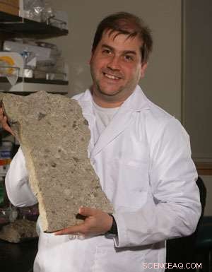 Volcanic Geoengineering and the Climate Catastrophe That Killed Most Animal Species