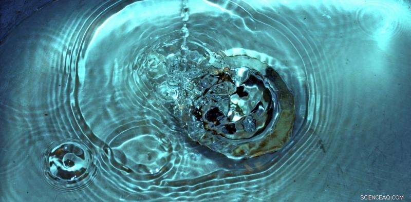 Companies Must Lead the Fight Against Hidden Toxins in Everyday Products