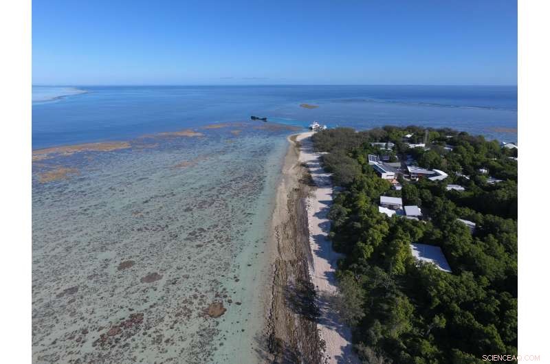 New Study Reveals How Beachrock Forms to Shield Coastal Islands from Climate-Driven Sea Level Rise