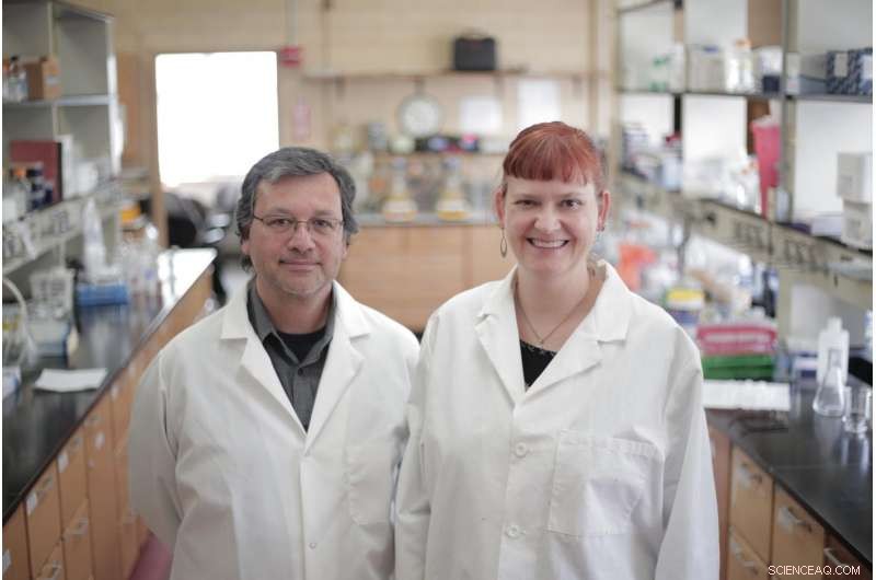 Harnessing Bacteria to Revolutionize Future Wastewater Treatment