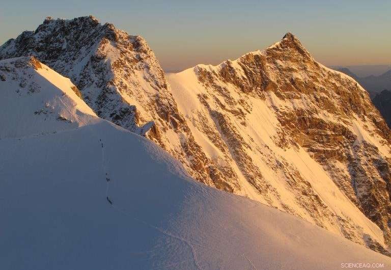 New Study on 14th-Century Plague Reveals Unexpected Natural Lead Levels