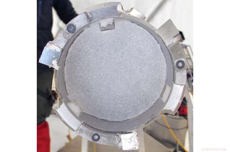 New Study on 14th-Century Plague Reveals Unexpected Natural Lead Levels