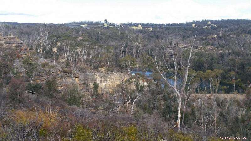 Restoring the Wollangambe: Tackling Coal‑Mining Pollution in a World Heritage River