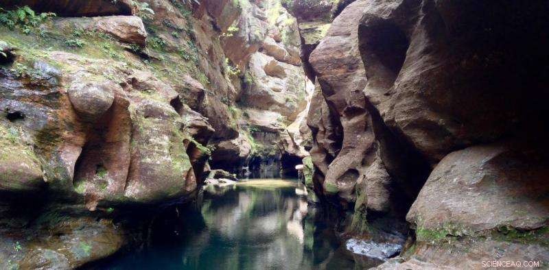 Restoring the Wollangambe: Tackling Coal‑Mining Pollution in a World Heritage River