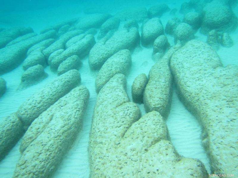 The Hot Beginnings: Ocean Temperatures When Life First Evolved