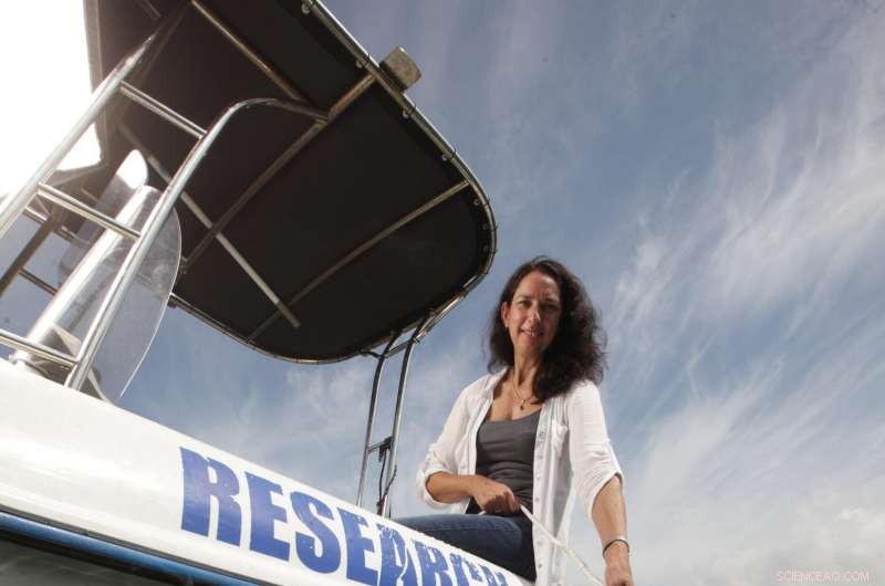 Sydney Harbour Emits CO2 Equivalent to 200 Cars—New Study Reveals