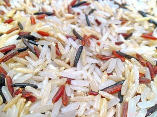 Eco-Label Rewards: Taiwanese Rice Farmers Cut Chemicals for Sustainable Harvest