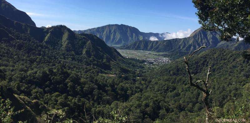 Beyond Integration & Segregation: Innovative Strategies for Forest Conservation