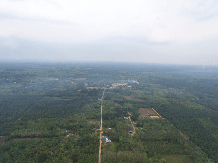 Beyond Integration & Segregation: Innovative Strategies for Forest Conservation