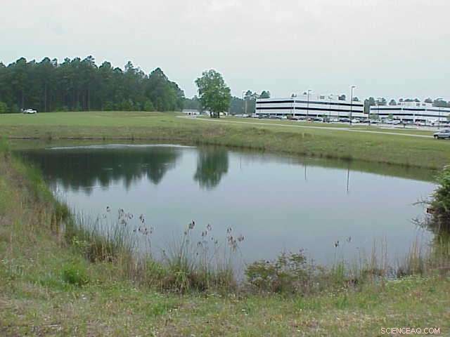 Stormwater Ponds May Not Shield Surface Waters from Road Salt: New Study Reveals Limitations