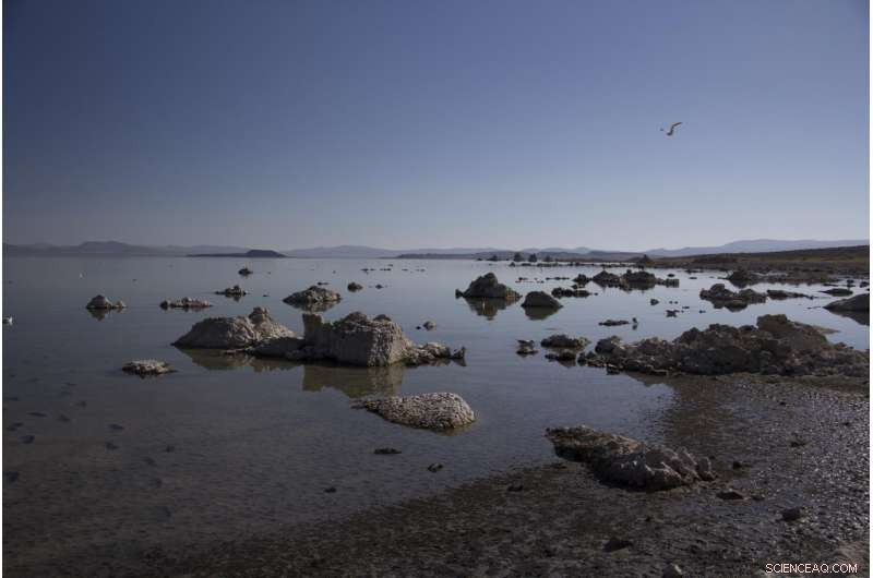 Past Climate Data Suggests Earth s Rain Belt Could Shift Northward